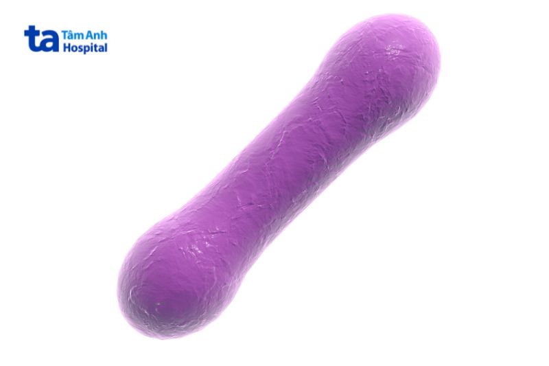 vi khuẩn gây bệnh bạch hầu