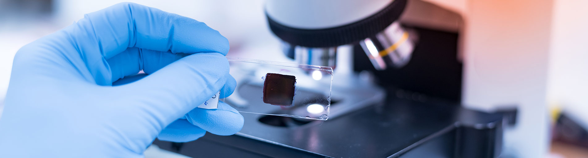 trung tâm giải phẫu bệnh và tế bào PC