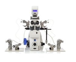 Kính hiển vi đảo ngược