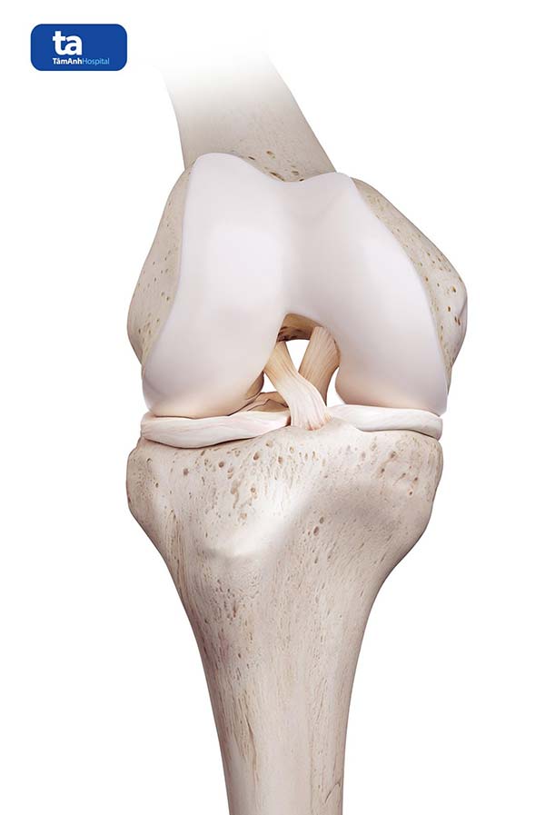 cau tao day chang cheo truoc