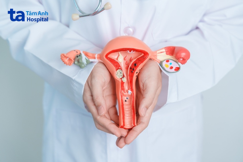 Cường giáp ảnh hưởng đến hoạt động của trục hạ đồi