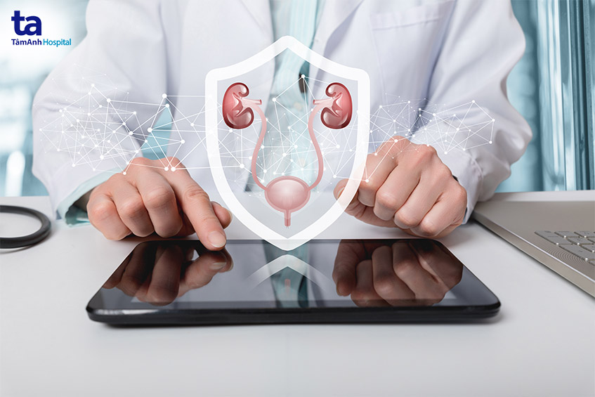 Chức nang tuyến tiền liệt