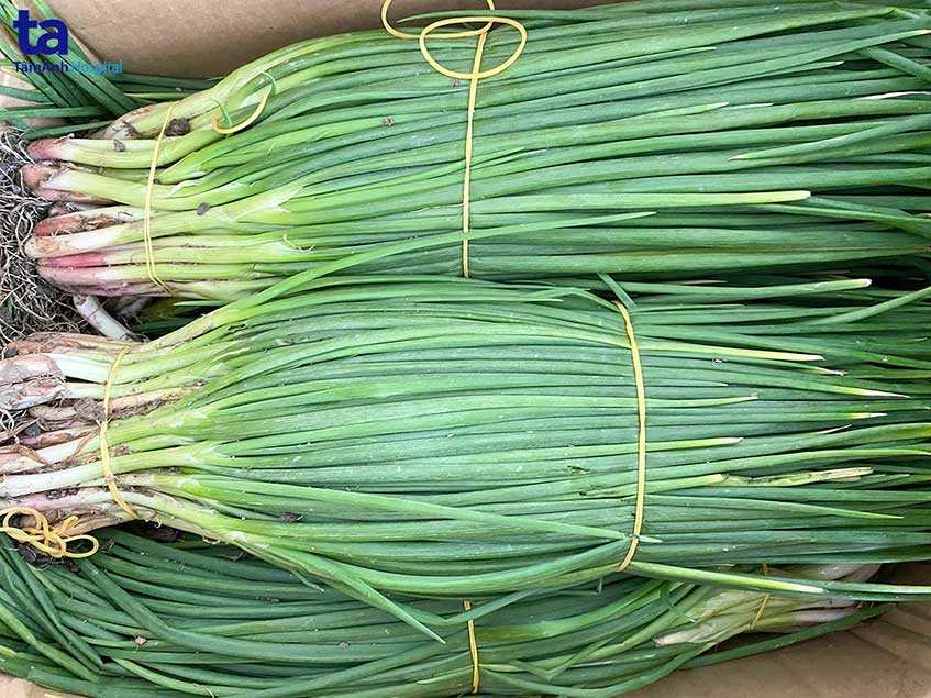 Hơn 15 tấn rau củ quả kịp thời tiếp sức cho y bác sĩ 