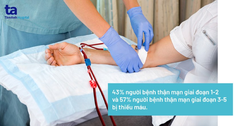 Thiếu máu ở bệnh thận mạn: Nguyên nhân, chẩn đoán và điều trị