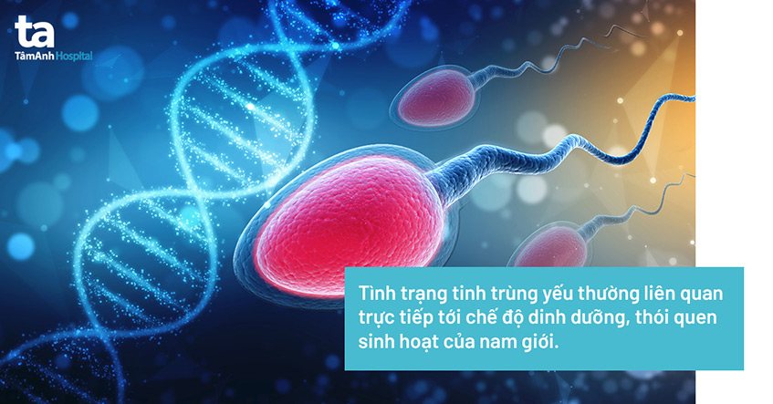 Tinh trùng yếu: Nguyên nhân, dấu hiệu, chẩn đoán và phòng ngừa