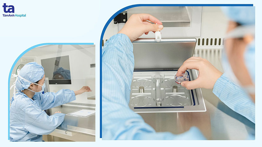 chuyên gia phôi học ngọc quỳnh