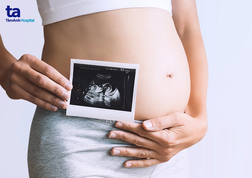 Sự hình thành và phát triển của thai nhi trong giai đoạn 3 tháng đầu thai kỳ