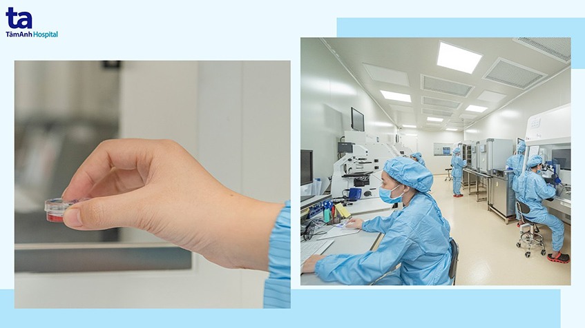 Ths Nguyễn Ngọc Quỳnh