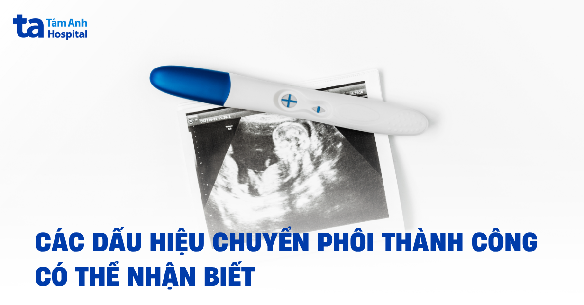 dấu hiệu chuyển phôi thành công
