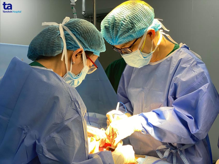 công dân mới 2022