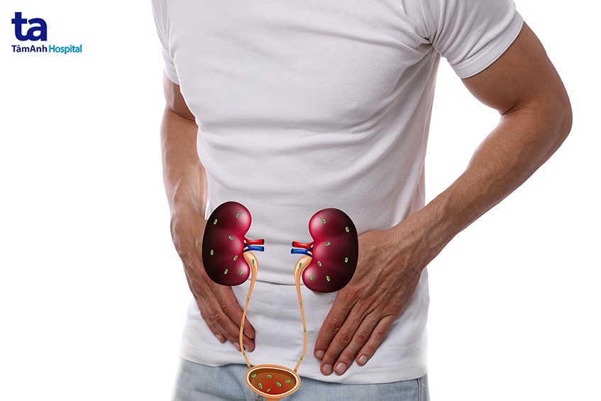 viêm đường tiết niệu ở nam giới