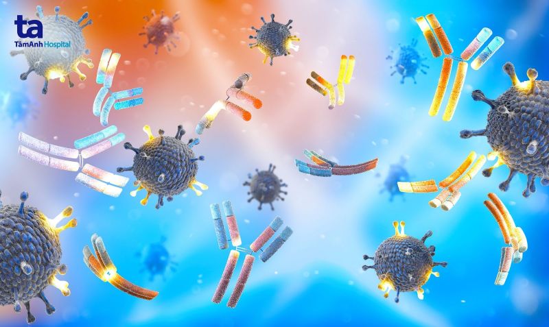 kháng thể evusheld