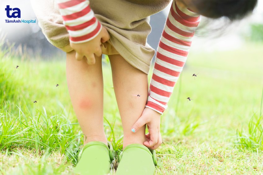 muỗi mang bệnh đốt người