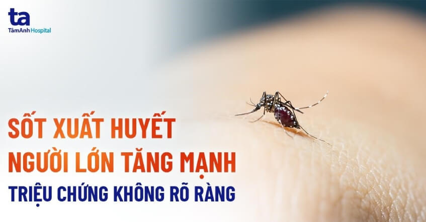 sốt xuất huyết người lớn tăng mạnh