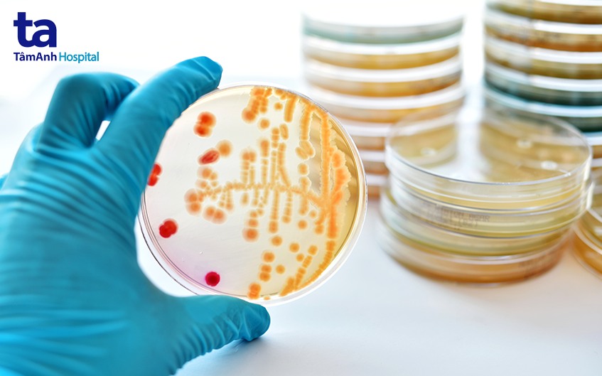 vi khuẩn gây bệnh