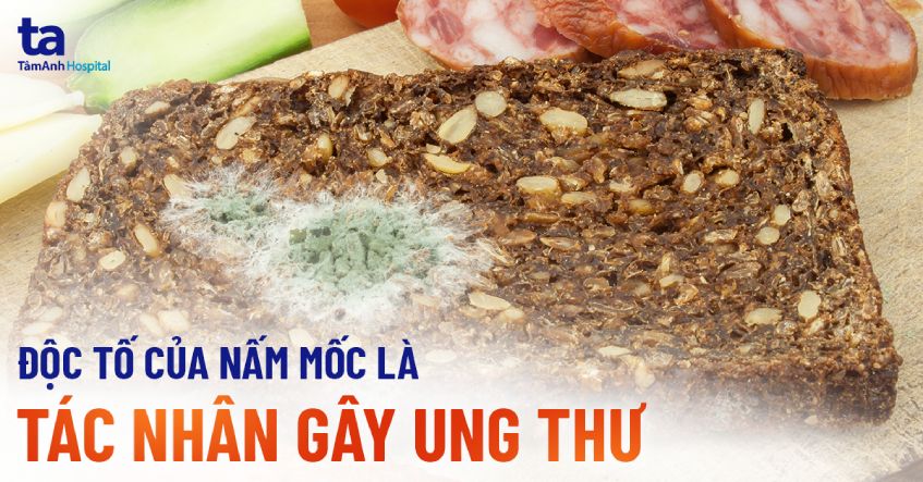 độc tố nấm mốc là tác nhân gây ung thư