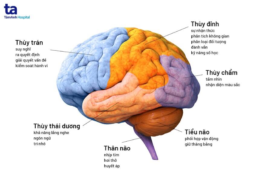 khối u não