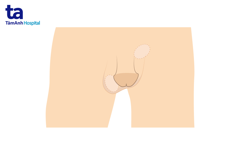 Per bilan jinsiy komikslar saytlari Leo va Torosning jinsiy muvofiqligi