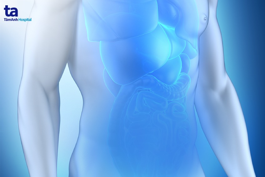 chẩn đoán hình ảnh vùng ngực bụng