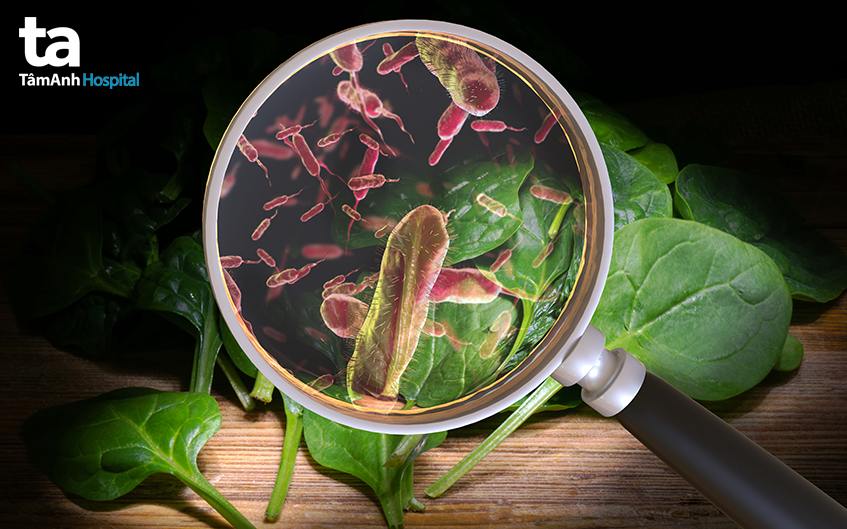 phòng ngừa viêm dạ dày cấp