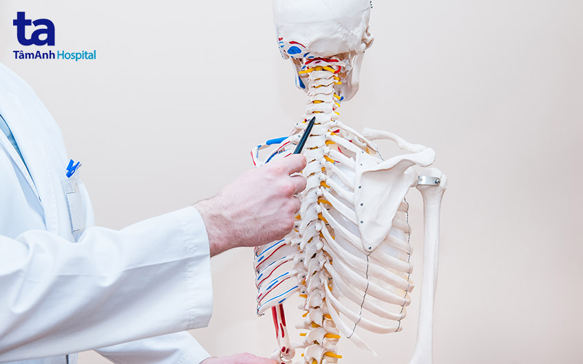 chức năng của cột sống