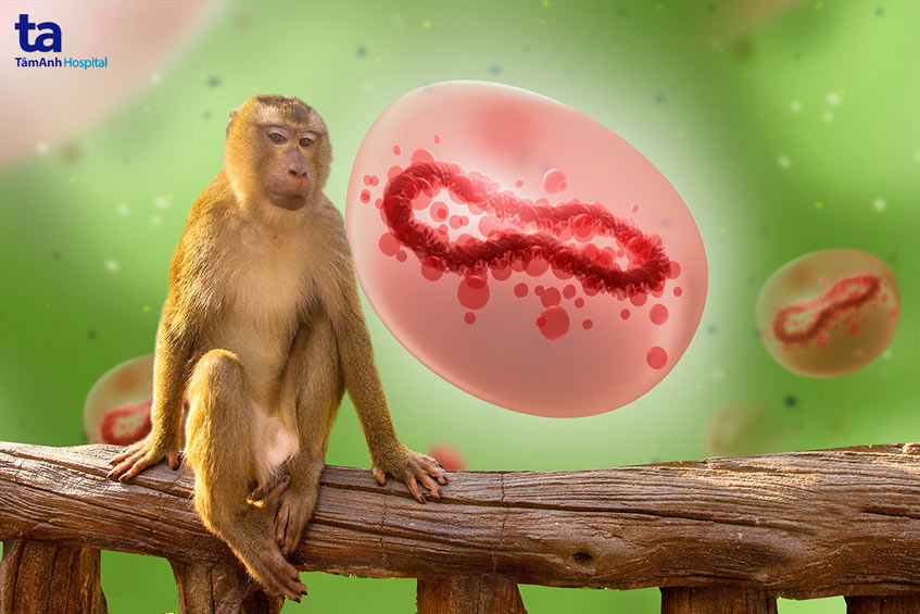 động vật là nguồn gốc gây bệnh