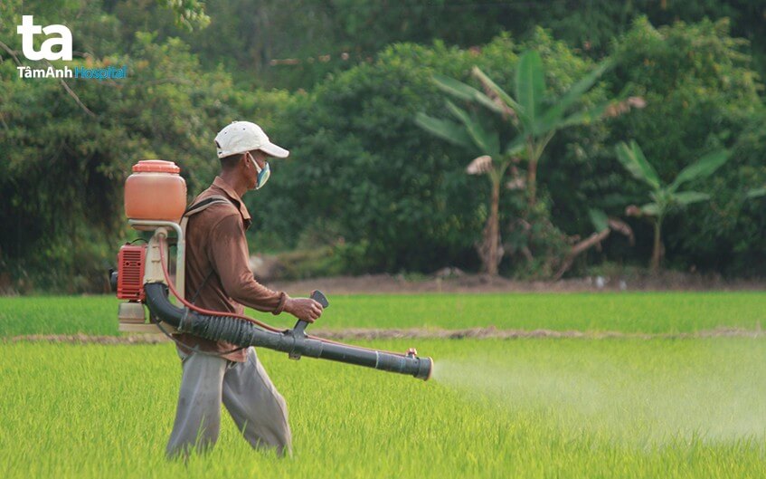 nguy cơ ngộ độc hóa chất