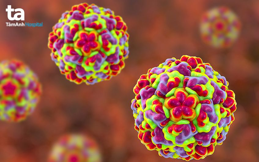 Rhinovirus là nguyên nhân phổ biến gây viêm mũi họng cấp ở trẻ