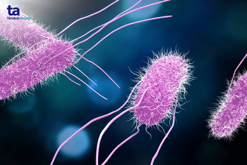 vi khuẩn salmonella là nguyên nhân gây ngộ độc ở trẻ