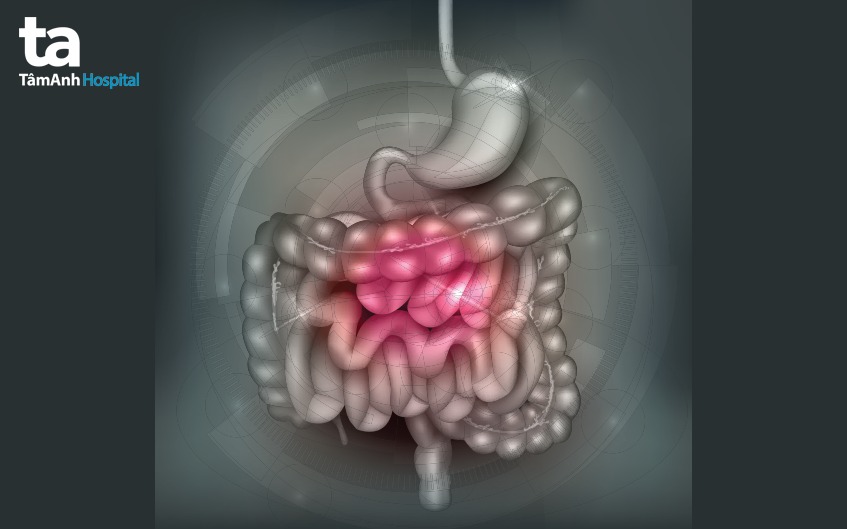 các bệnh tiêu hóa