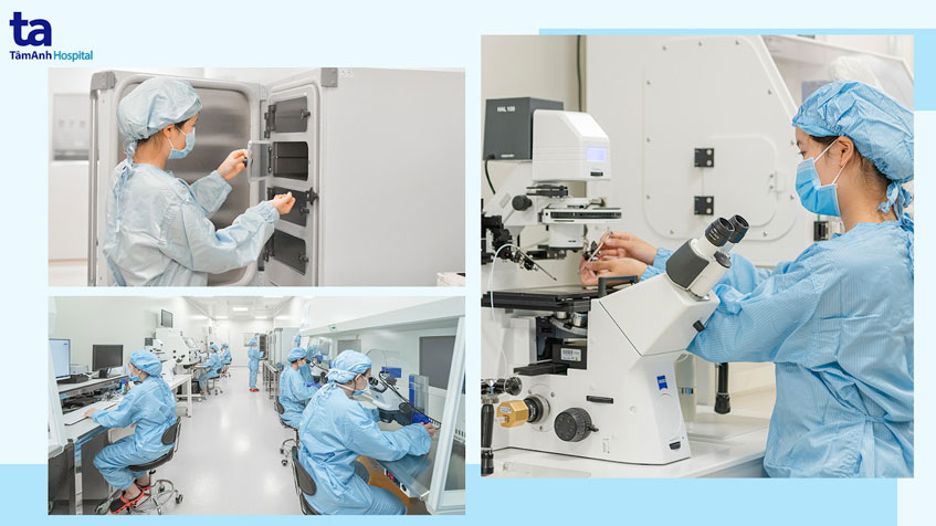 quá trình nuôi phôi trong ivf