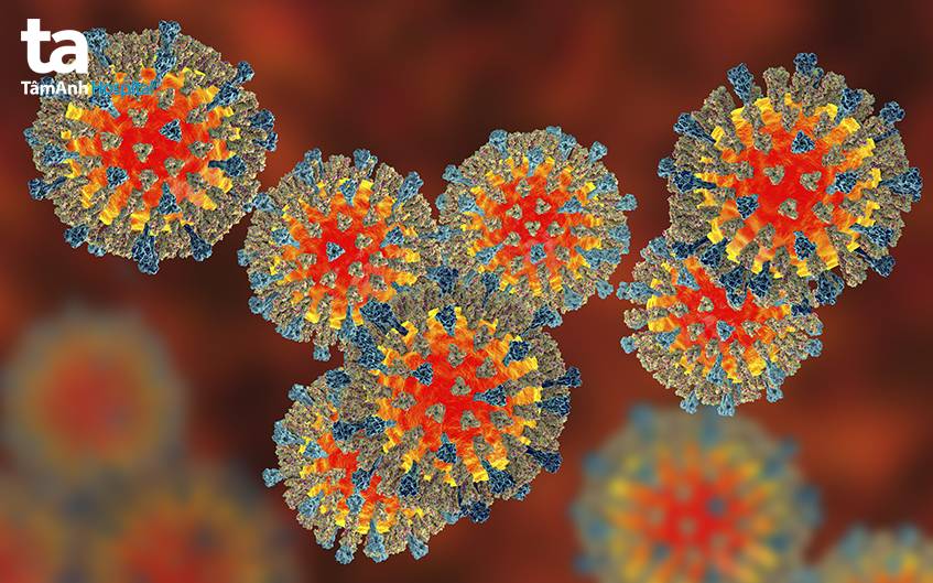 Sởi ở trẻ em là bệnh lý được gây ra bởi virus