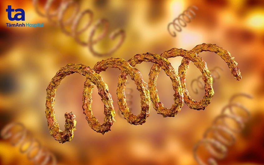 tổng quan về bệnh giang mai