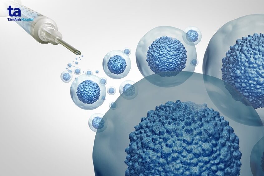 ứng dụng của tế bào gốc phôi