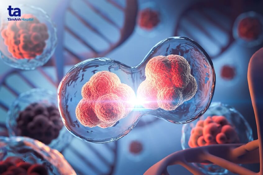 ứng dụng tế bào gốc phôi