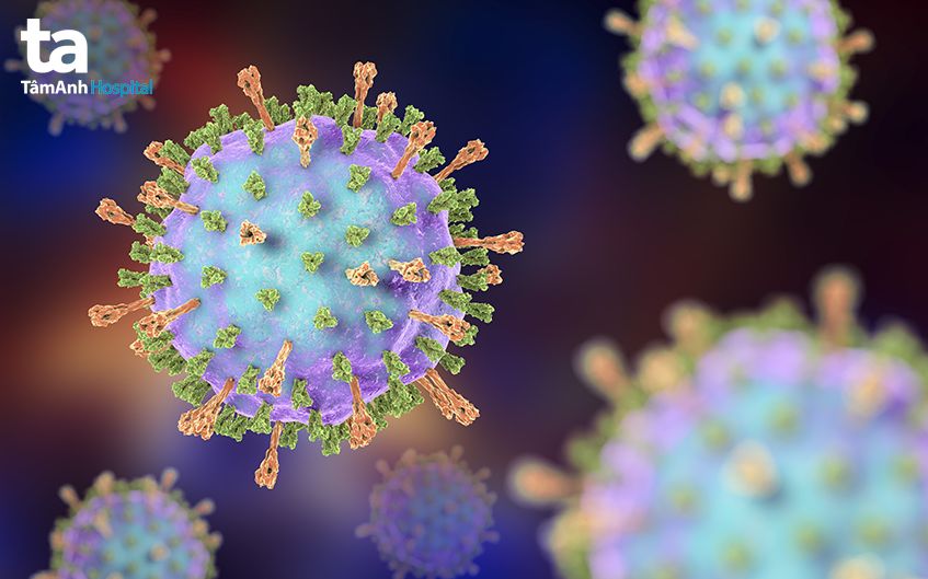 Virus quai bị - Mumps Virus 