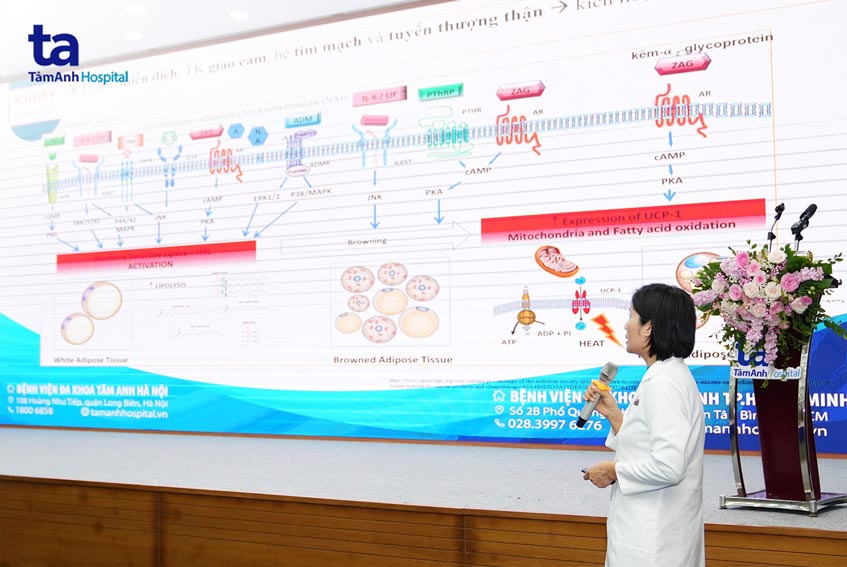 trình bày thành tựu