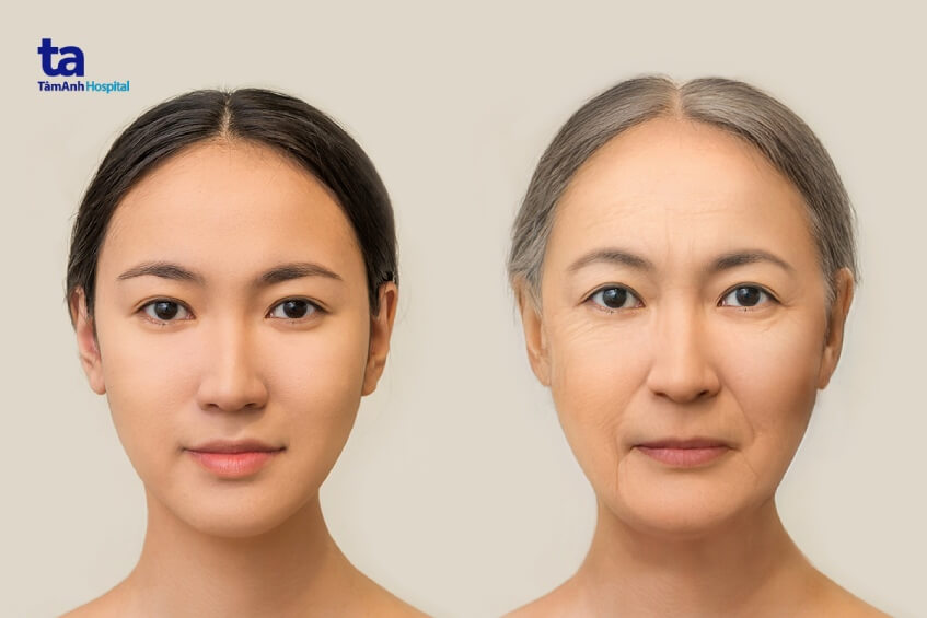 chức năng tuyến tùng