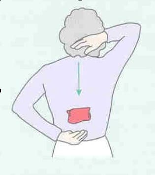 bài tập với túi nhỏ