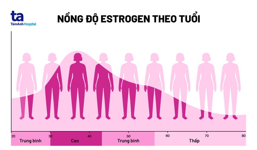 estrogen suy giảm theo độ tuổi