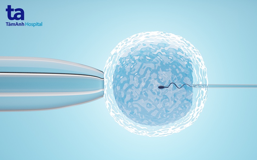 nguyên nhân lỗ tiểu lệch thấp