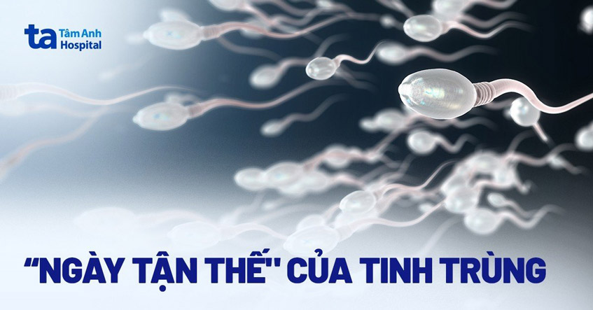 ngày tận thế của tinh trùng