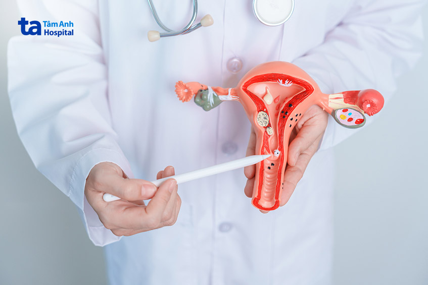 nguyên nhân do các bệnh lý phụ khoa
