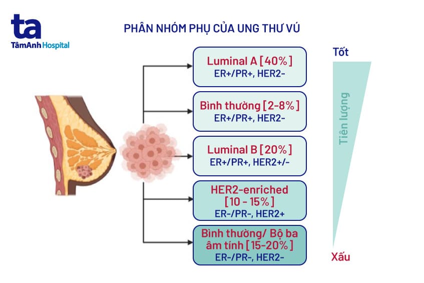 Nhóm ung thư vú
