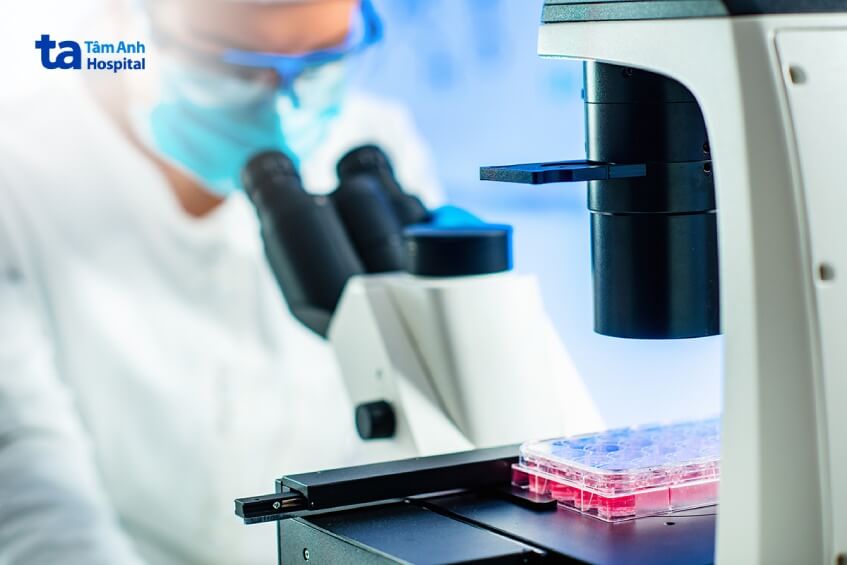 nghiên cứu ứng dụng tế bào gốc trong tương lai