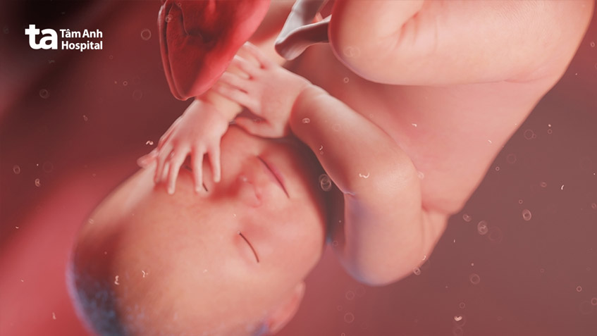 nước ối giúp bảo vệ thai nhi