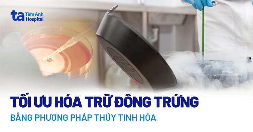 Tối ưu hóa trữ đông trứng/noãn bằng phương pháp thủy tinh hóa