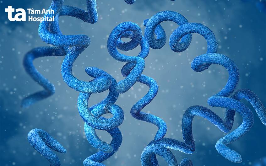 tổng quan về bệnh giang mai