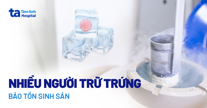 Nhiều người trữ trứng bảo tồn sinh sản