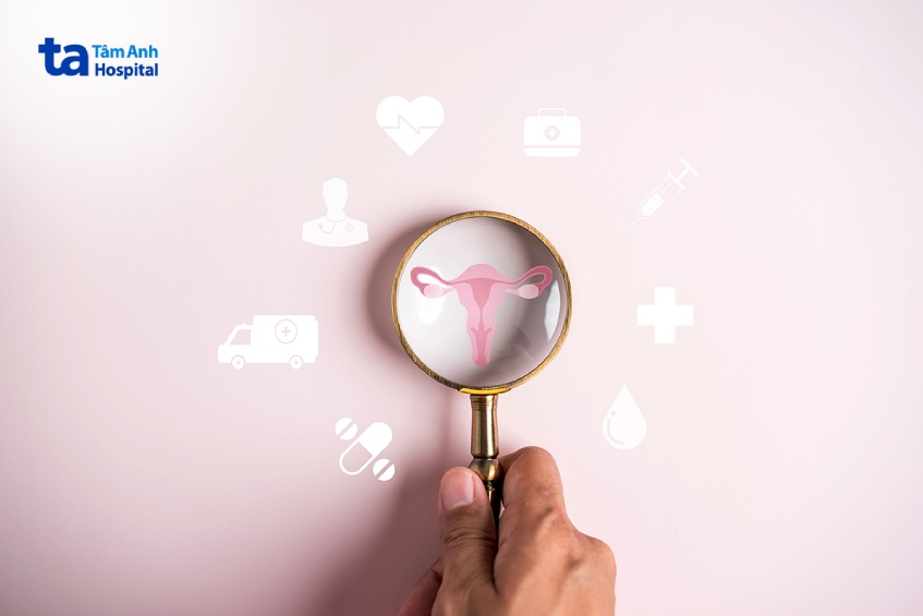 Estrogen có tác dụng gì đối với phụ nữ